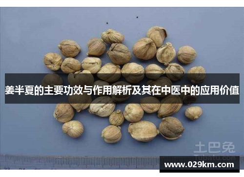 姜半夏的主要功效与作用解析及其在中医中的应用价值